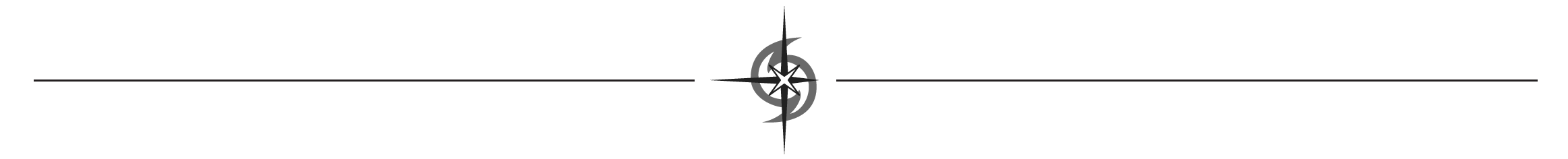 stylized divider